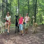 Im Thermenland Апартаменты *