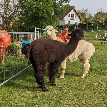 Im Thermenland Apartmán Fuerstenfeld