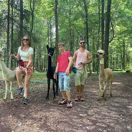 Im Thermenland דירה *