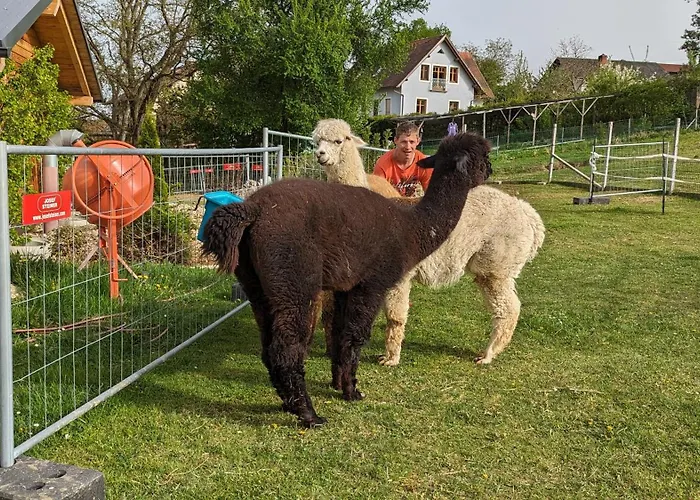 Im Thermenland 公寓 菲尔斯滕费尔德